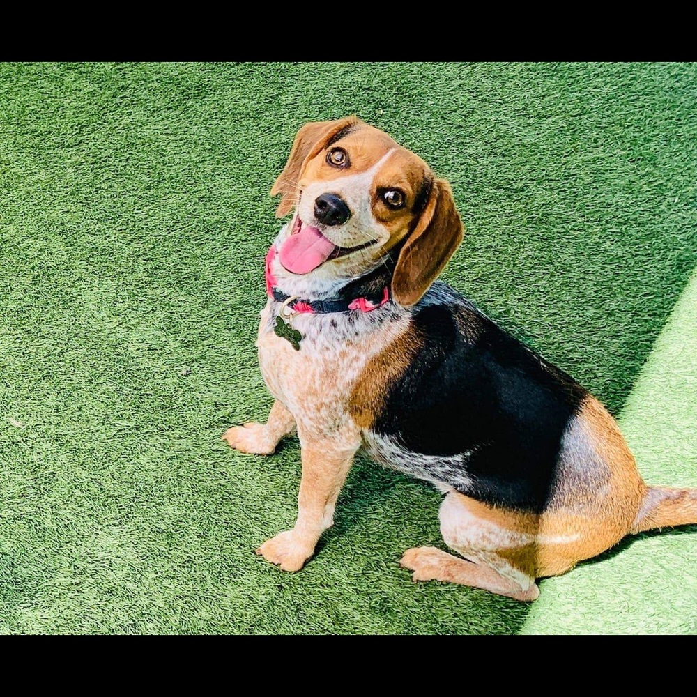 Meet your Posher, Tiffany